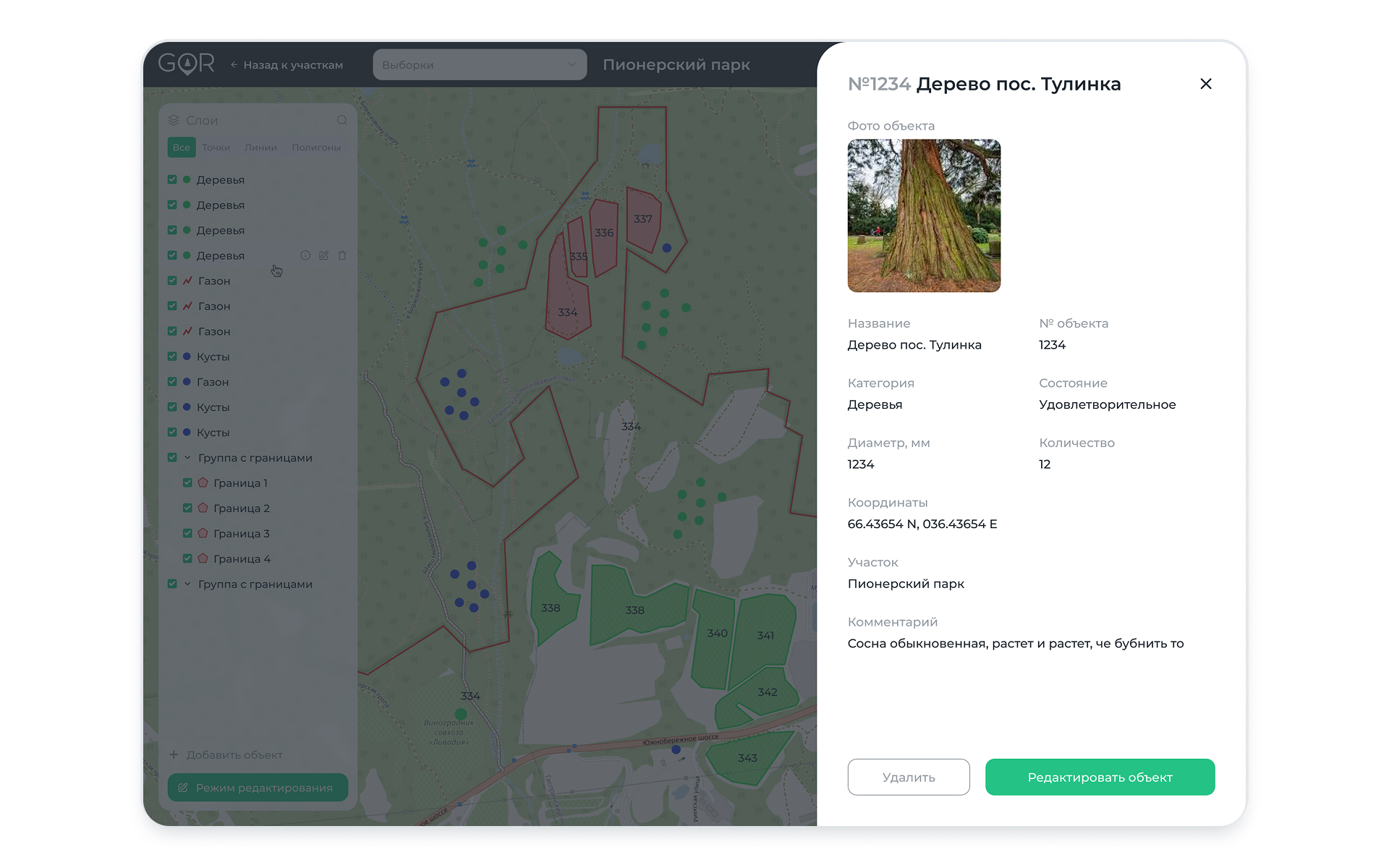Паспорт объекта поверх рабочей области карты GOR